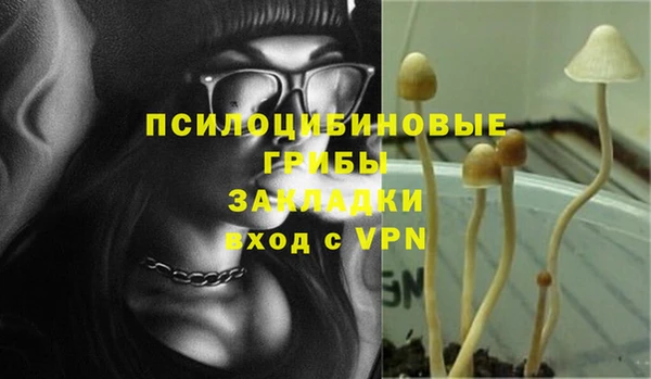 хмурый Дедовск