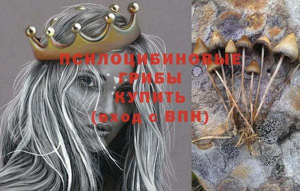 a pvp Абдулино