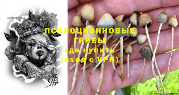 трава Абинск