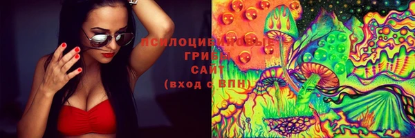 прущий лед Алексин