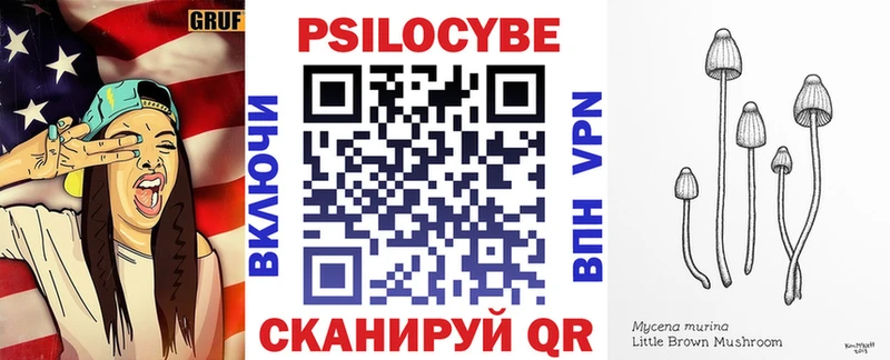 Галлюциногенные грибы Psilocybine cubensis Кирсанов